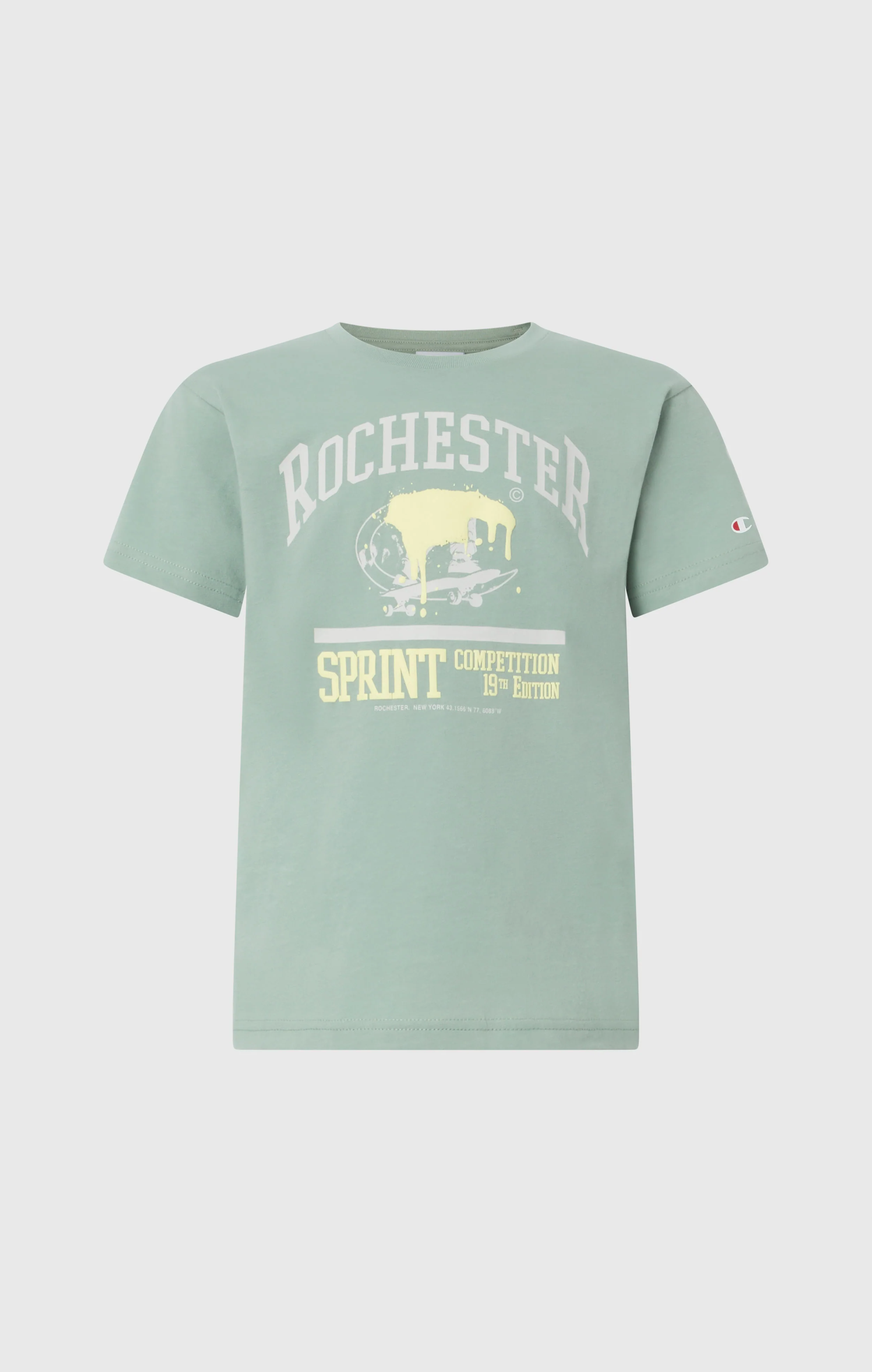 Boys’ Crewneck T-shirt with Puff Print - Image 4