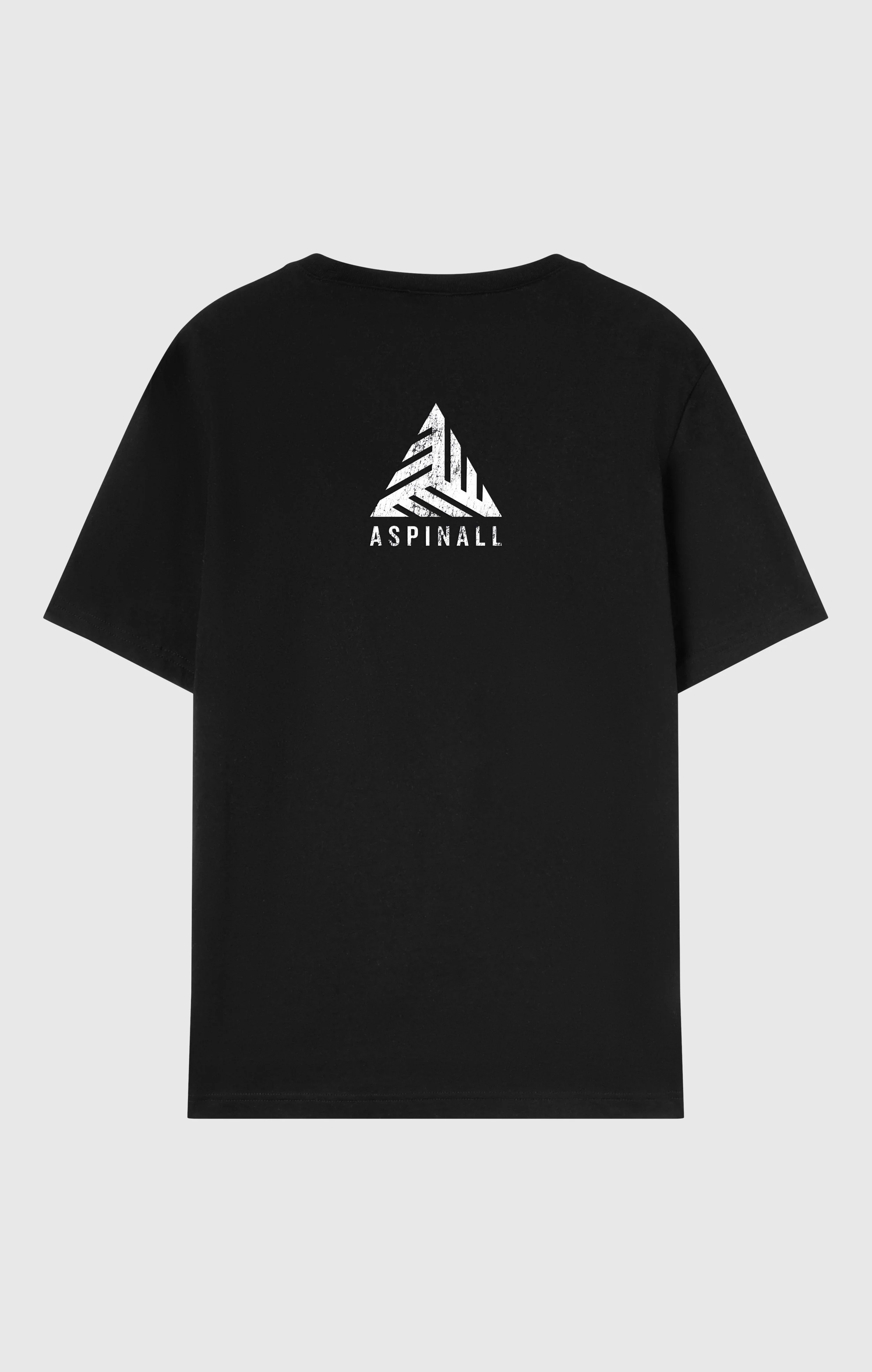 Champion x Tom Aspinall Heavyweight T-shirt - Image 2