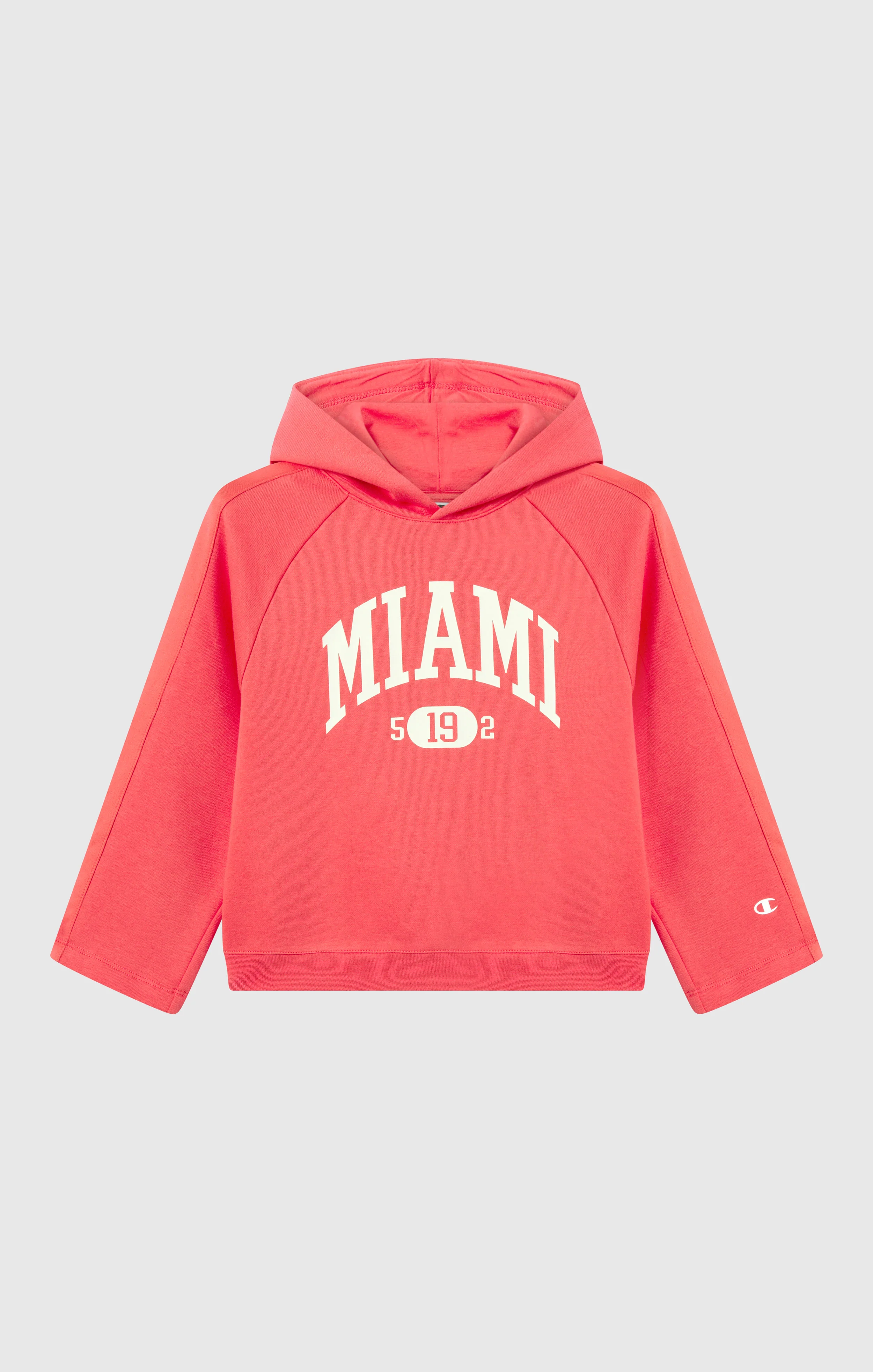 Girls' Fleece Hooded Sweatshirt - Image 4