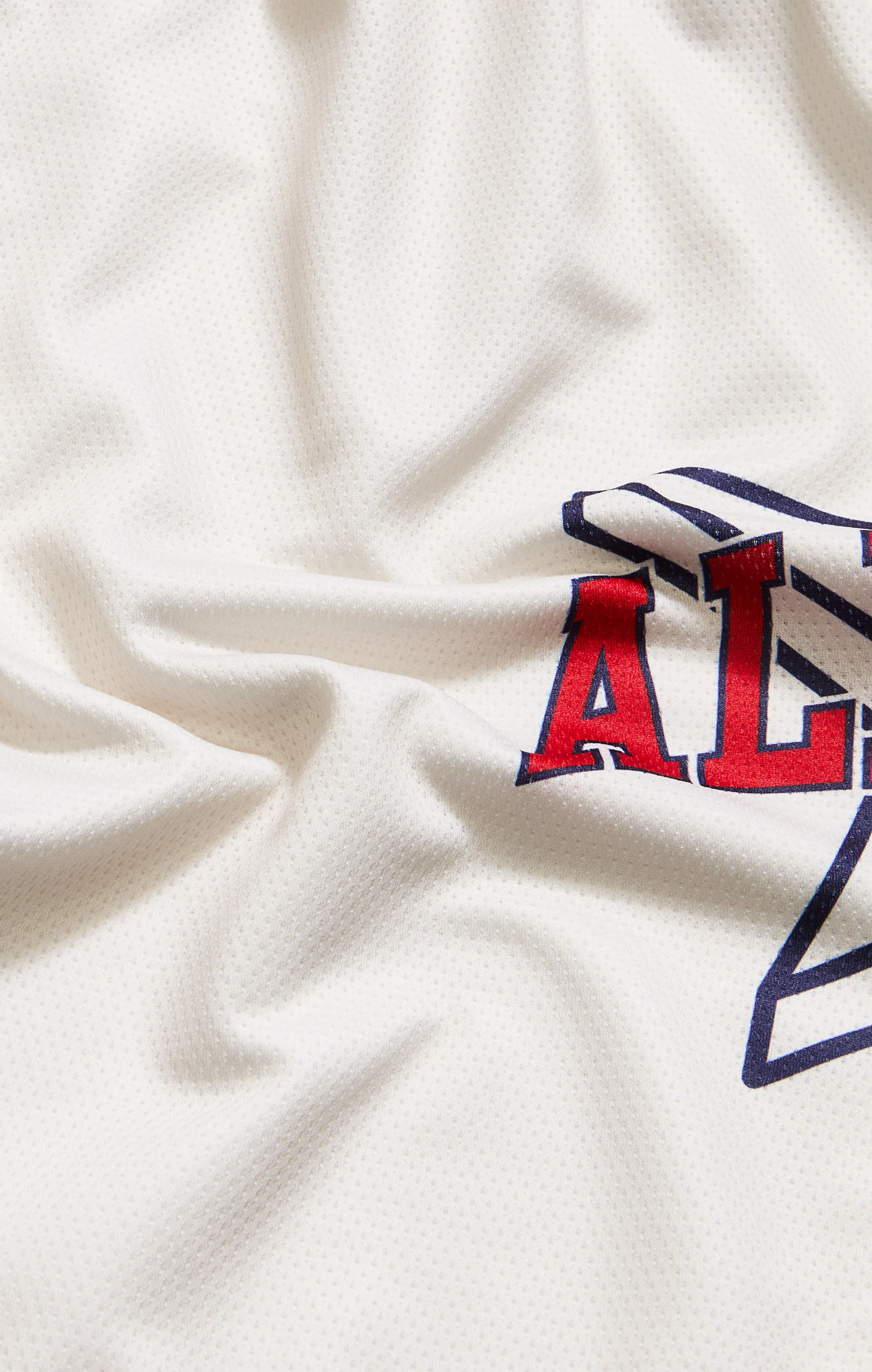 Men’s Basketball Shorts Champion x All Star Game - Image 3