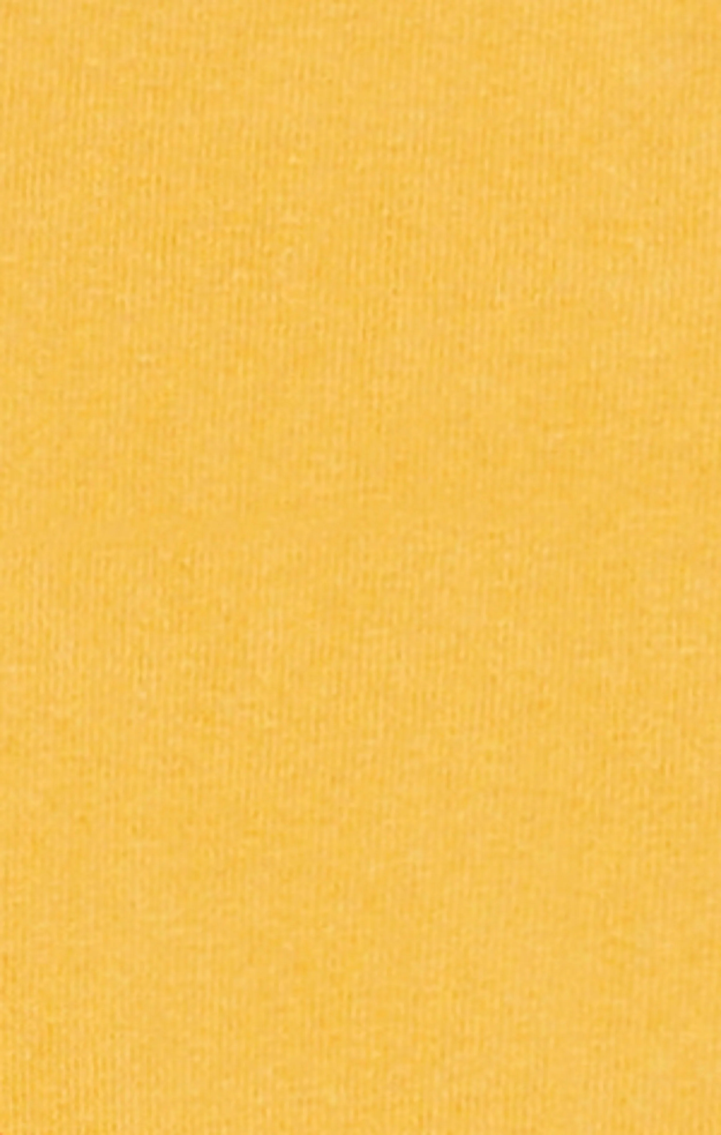 Men’s Collegiate-Inspired Crewneck T-Shirt Time Capsule - Image 6