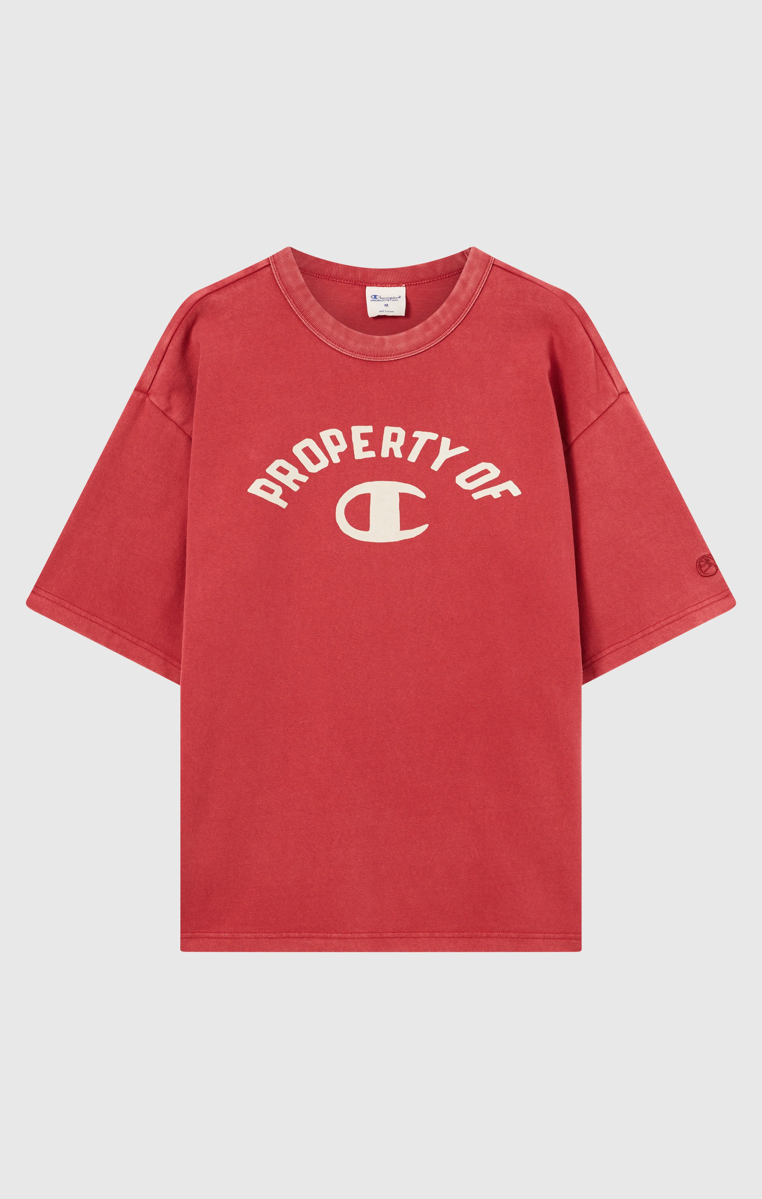 Men’s Collegiate-Inspired Crewneck T-Shirt Time Capsule - Image 5