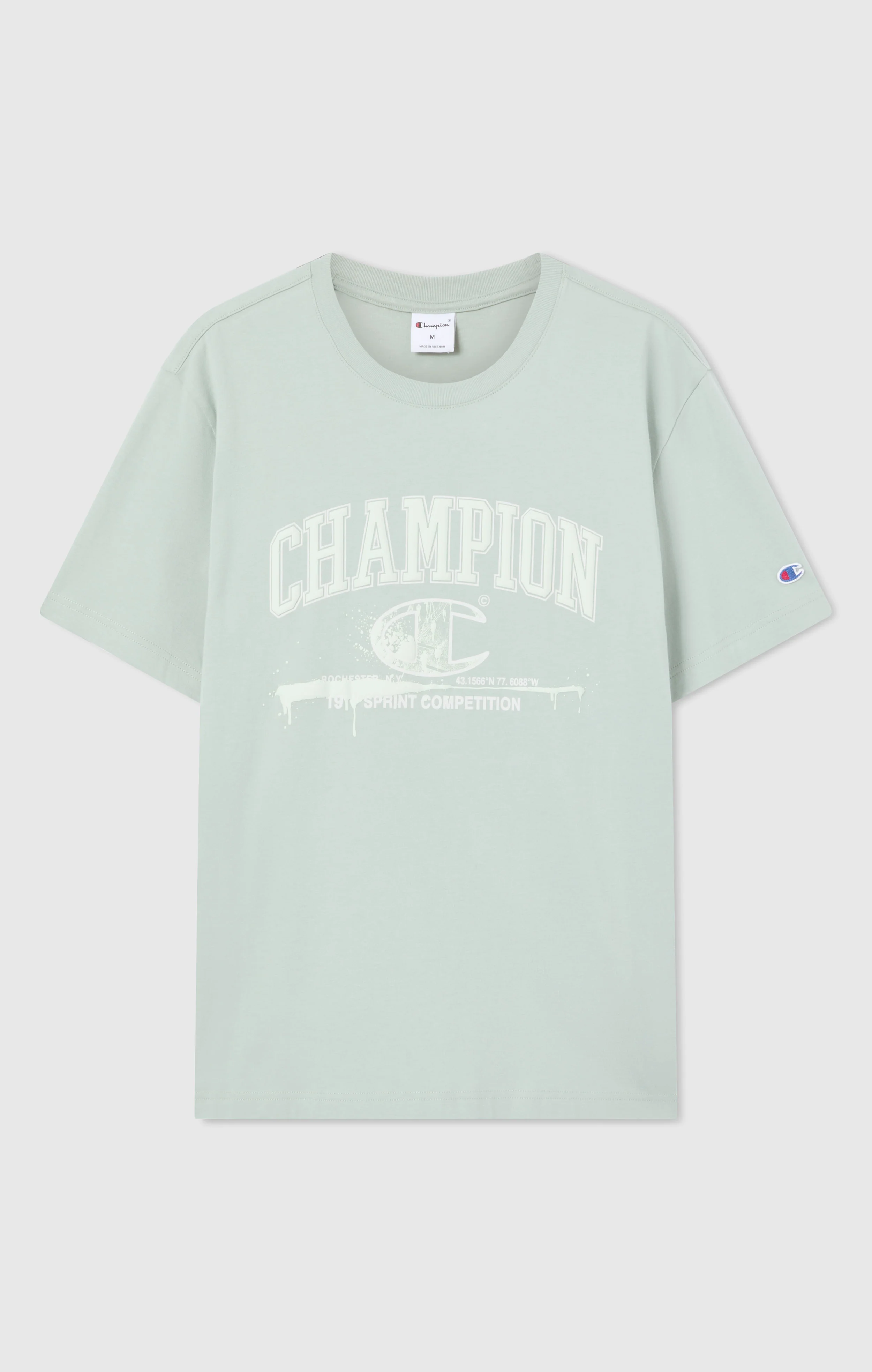 Men’s Crewneck T-Shirt With Puff Print Graphic - Image 5