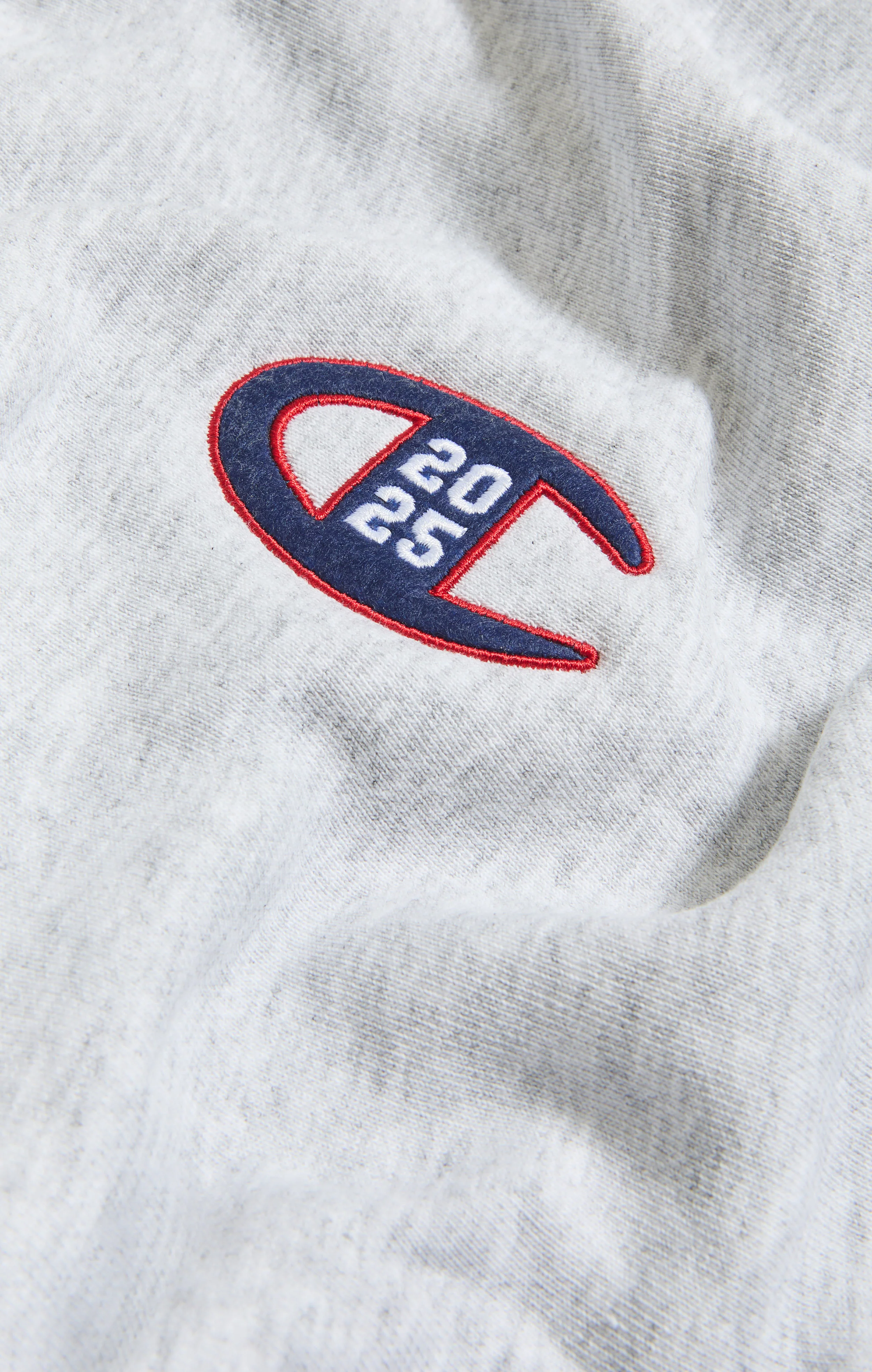 Men’s Heavyweight Fleece Hoodie Champion x All Star Game - Image 3