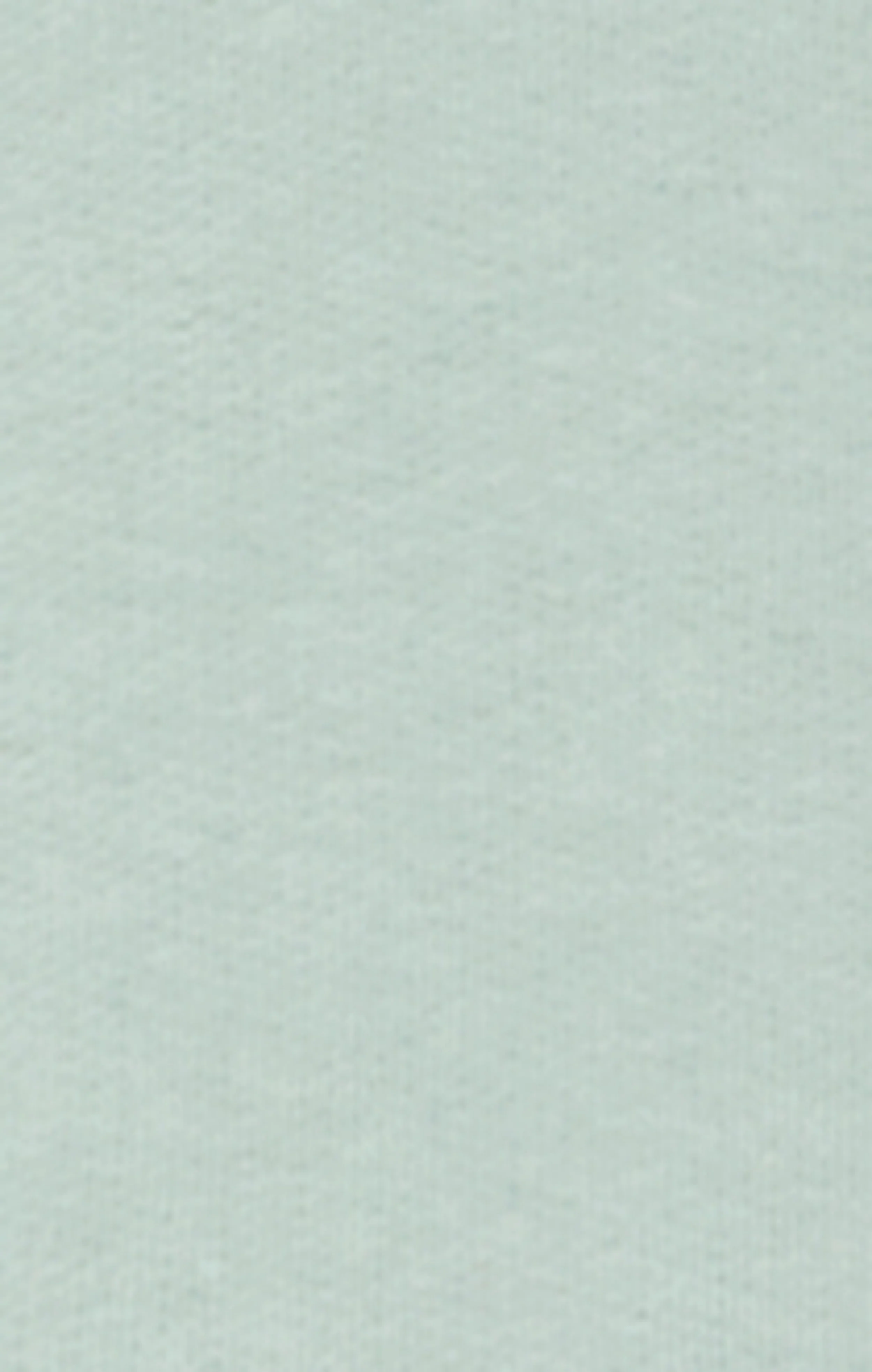 Men’s Hooded Sweatshirt With Brushed Interior And Puff Print Logo - Image 6