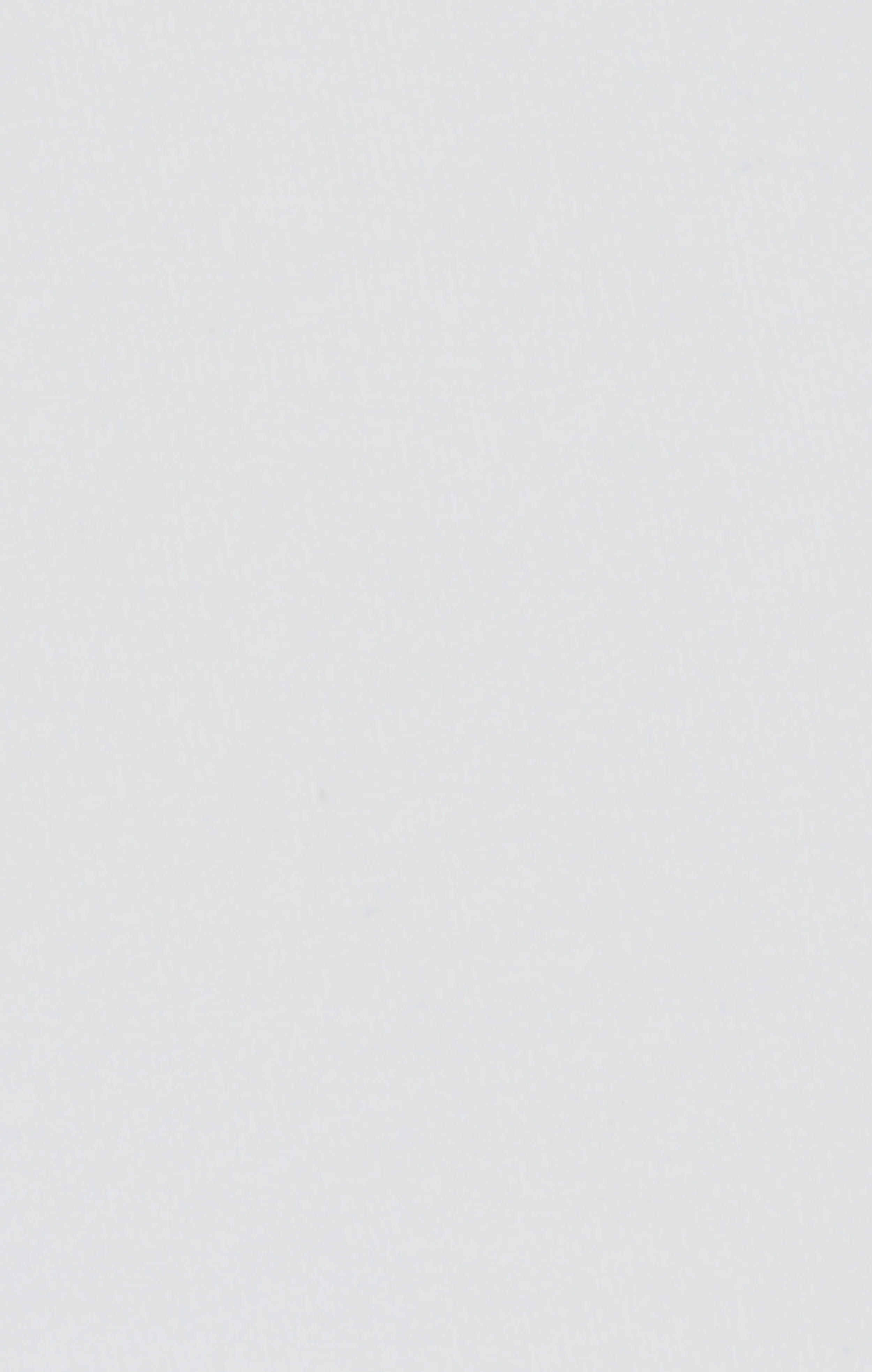 Men’s Shorts Script Logo - Image 8