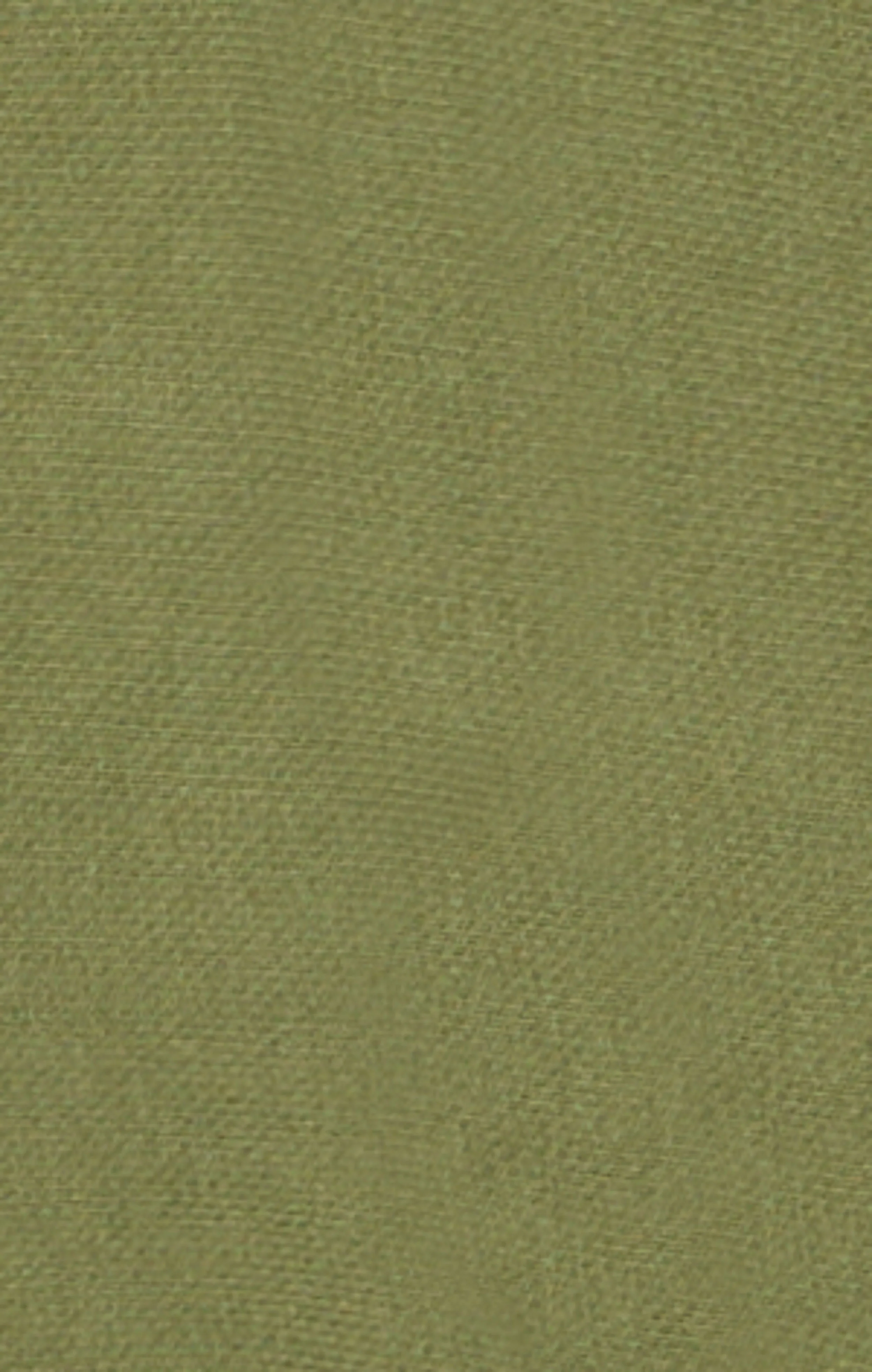 Reverse Weave Men's Loose Fit Hoodie - Image 6