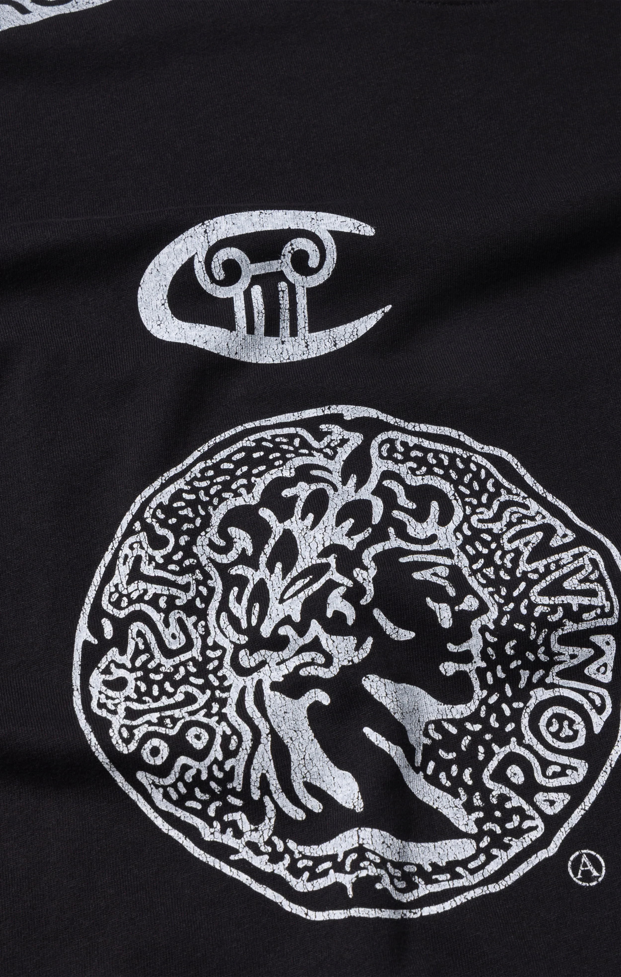 Unisex Graphic Long Sleeve T-Shirt Aries x Champion - Image 4