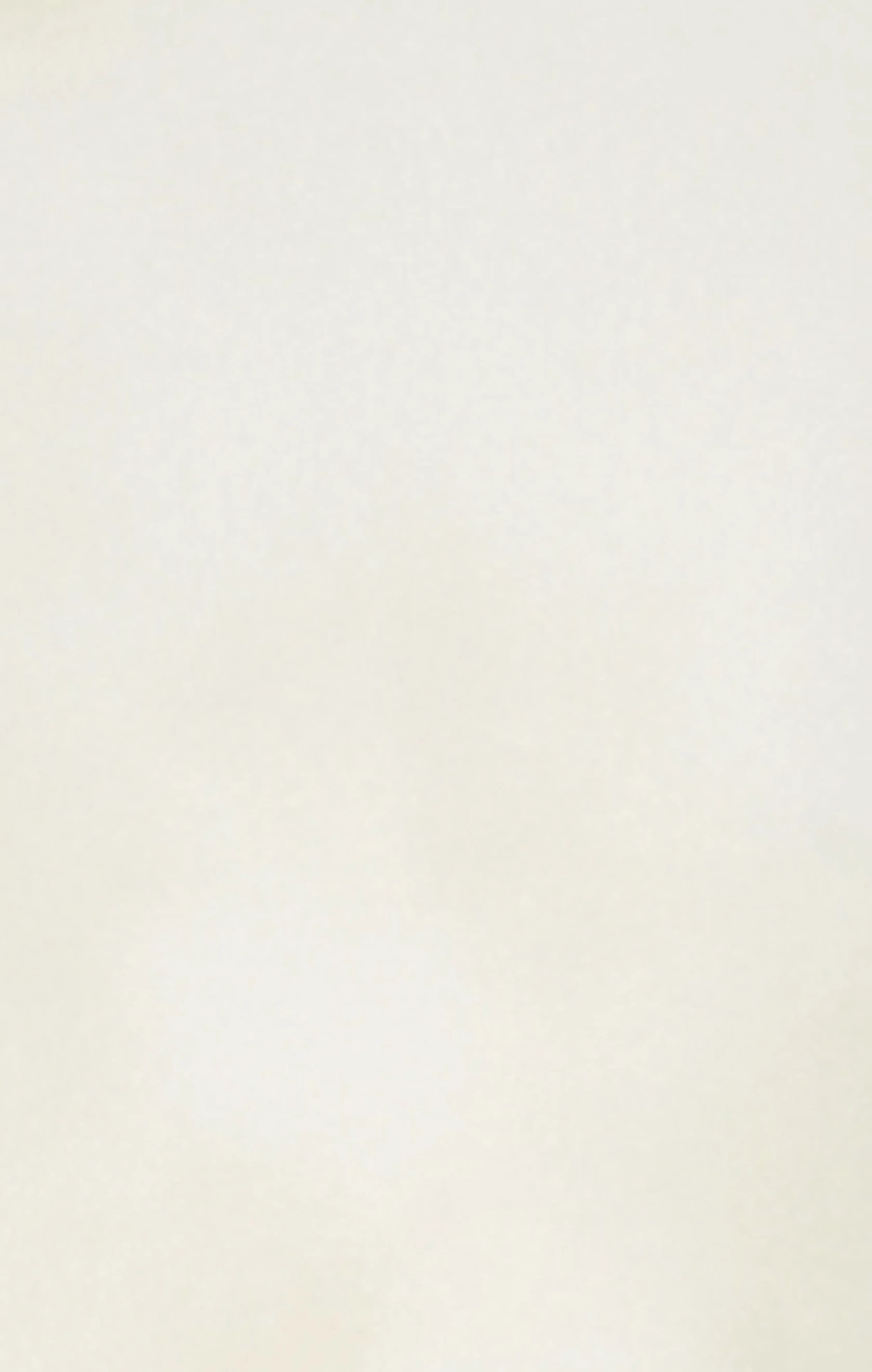 Women’s 7/8 Leggings - Image 6