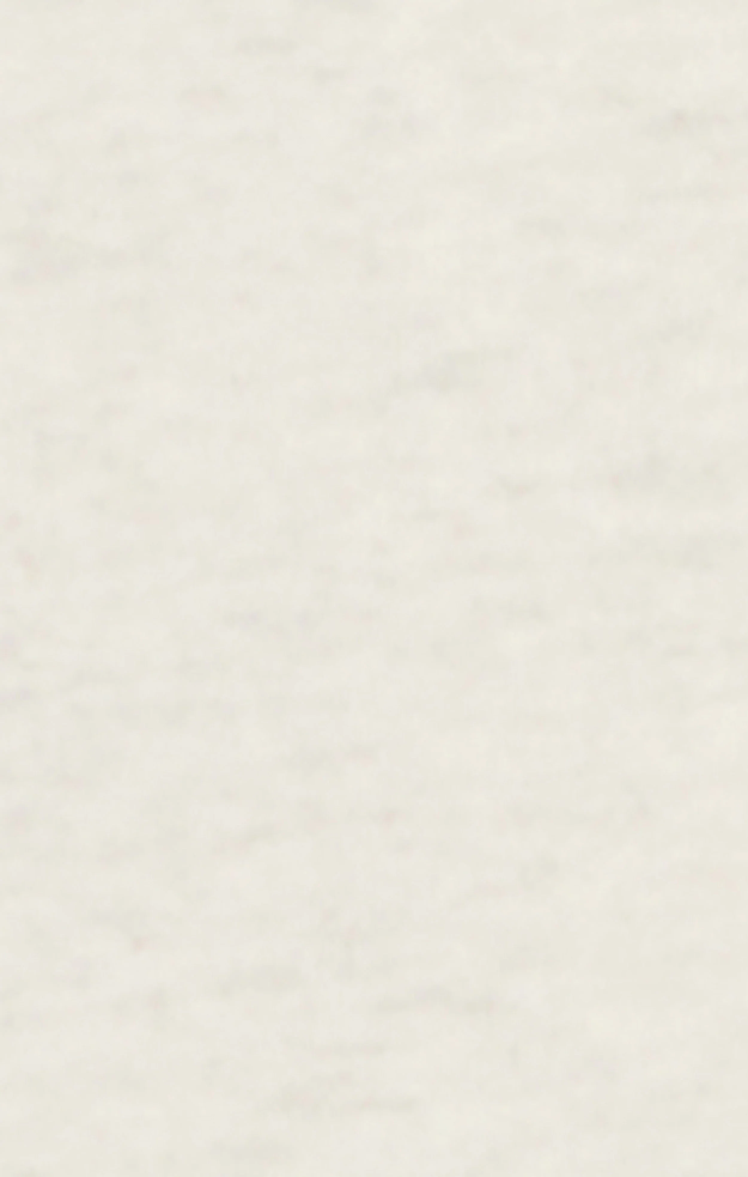 Women’s Bermuda Shorts Icons - Image 6