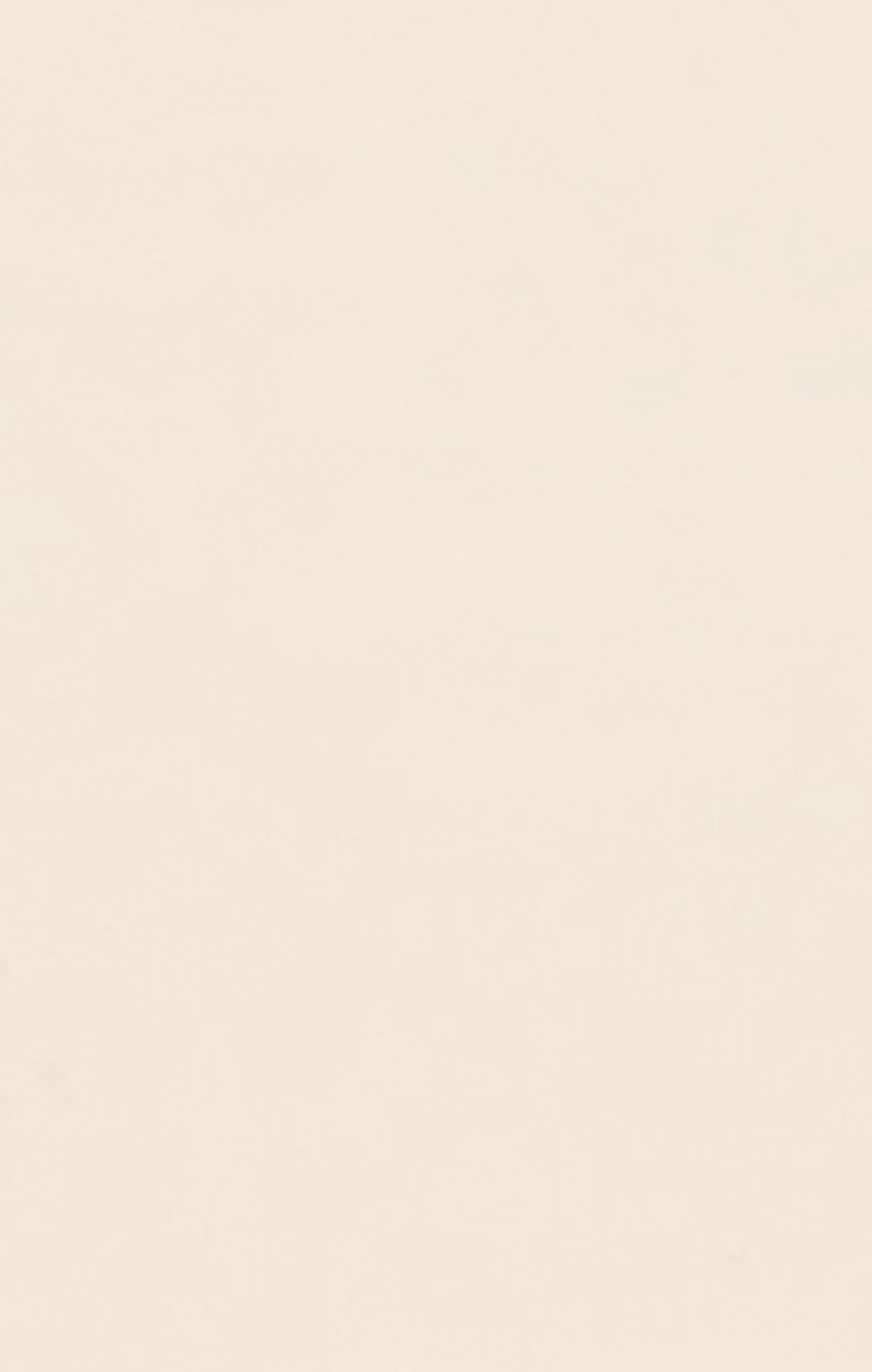 Women’s East West Flare Pants - Image 6