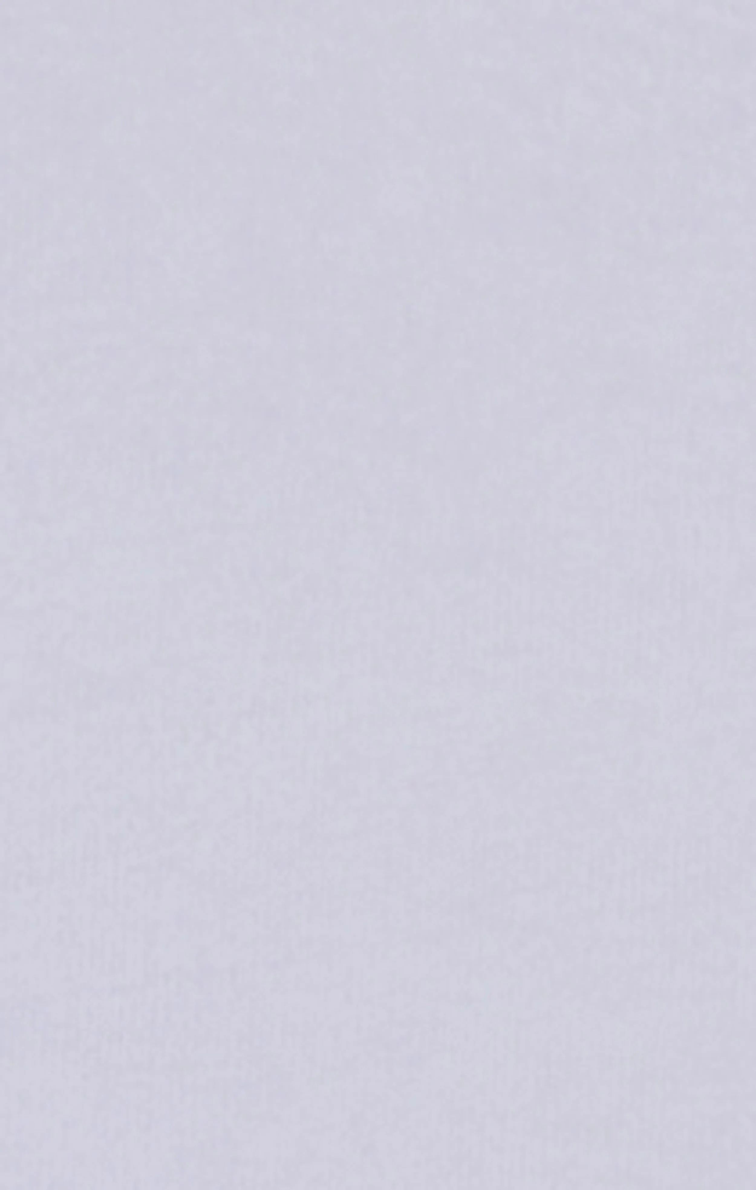Women’s Washed Effect Crewneck T-Shirt Icons - Image 6